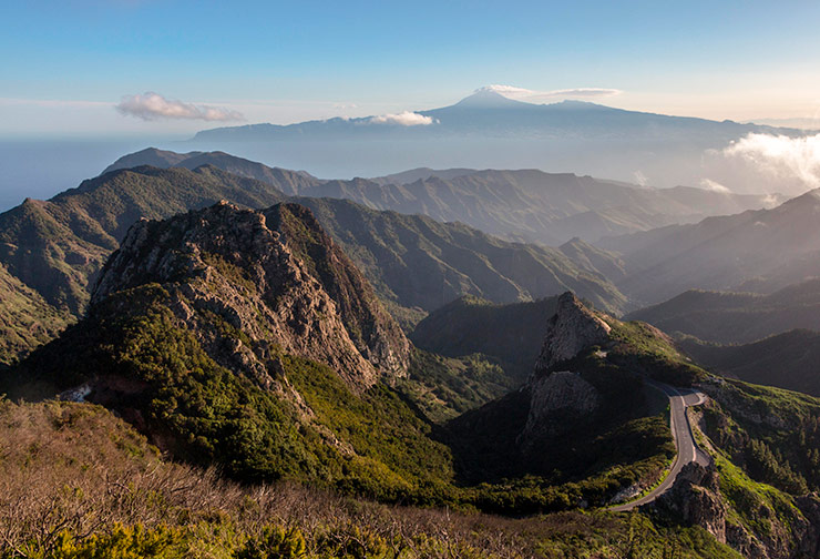 Laurisilva y niebla del Parque Nacional de Garajonay